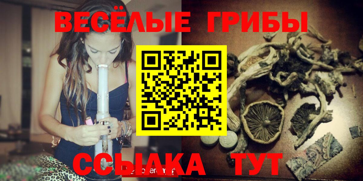 Тулун  Псилоцибиновые грибы мицелий  Вход с VPN 
